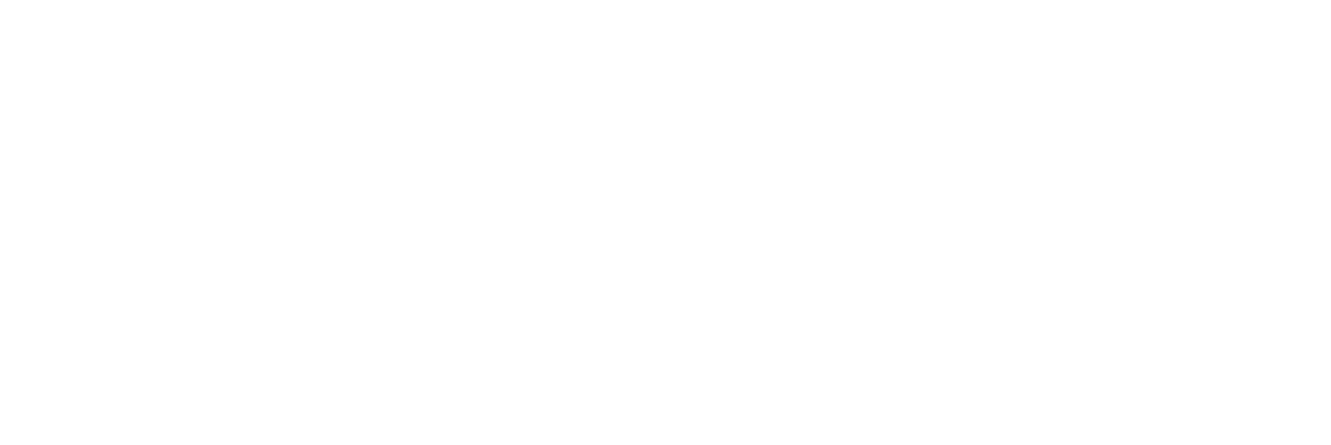 StonCor South Cone Logo Transparent White